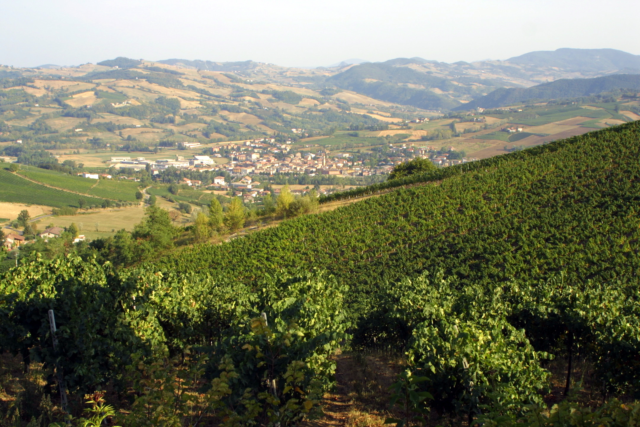 Pianello Val Tidone