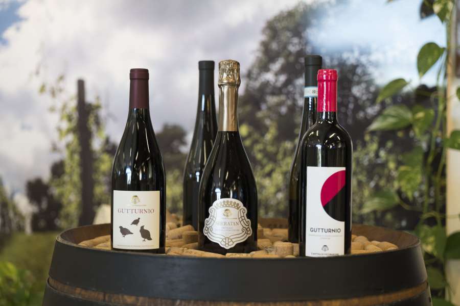 Vini DOC dei Colli Piacentini