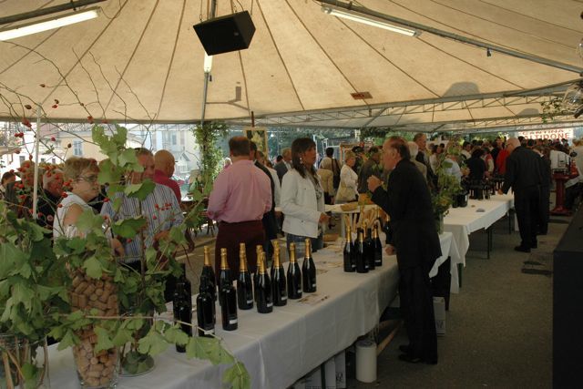 Pianello Frizzante - Edizione 2009 - Pianello Val Tidone (PC)